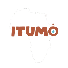 Logo Itumo Institute