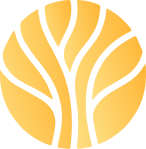 Africa Political Outlook