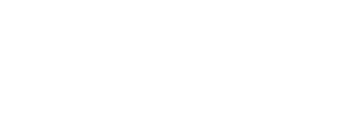 Africa Political Outlook